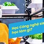 Các Chính Sách Liên Quan Đến Nông Nghiệp Ở Mỹ Hiện Nay