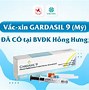 Gói Tiêm Hpv 9 Chủng