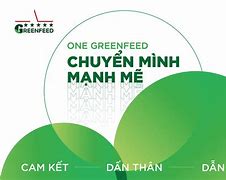 Green Feed Nghĩa Là Gì Tiếng Việt