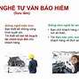 Ngành Tư Vấn Viên