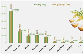 Xuất Khẩu Lúa Gạo Năm 2021 Ở Đâu Là Tên Gì